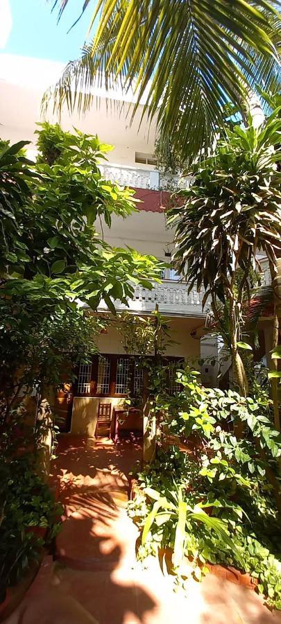 Daphne Hotel Mamallapuram Esterno foto